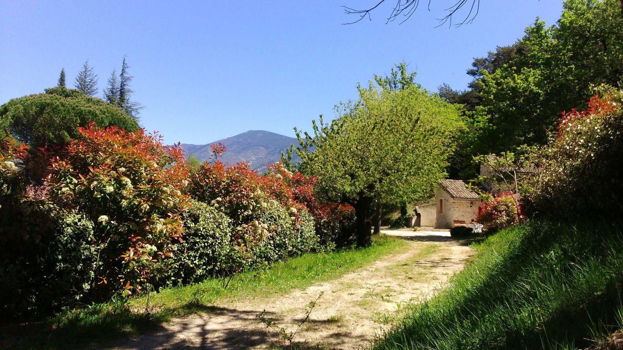 Le Mas De Cocagne En Provence Malaucene Exterior photo